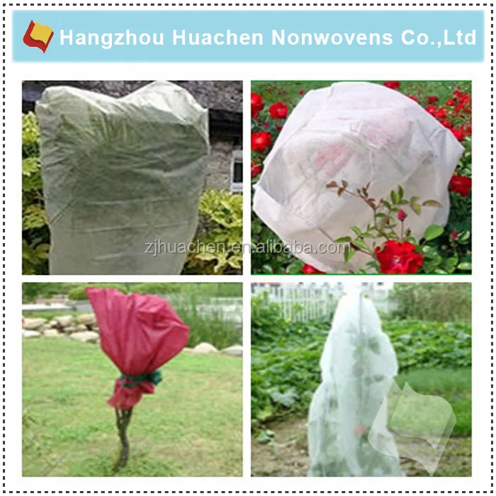 Plant Protection Cover