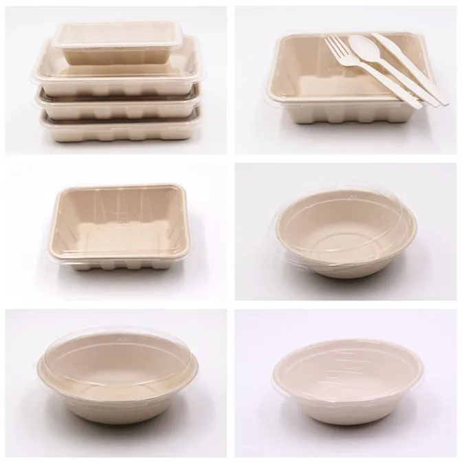 bagasse container with lid