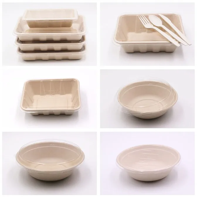 biodegradable bagasse food containers with lid