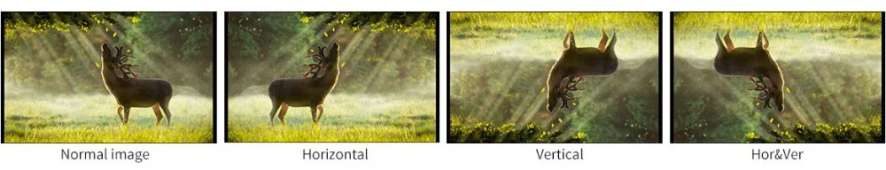 Image Flip.jpg