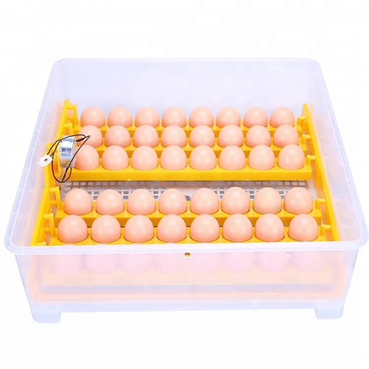 Wq-48 Wq Brand Mini Automatic Egg Incubator 48 Eggs Incubator 12 Volt