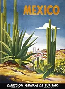 Mexico Cactus Desert White City. Vintage Travel Poster Reproduction(16.75" x 23")