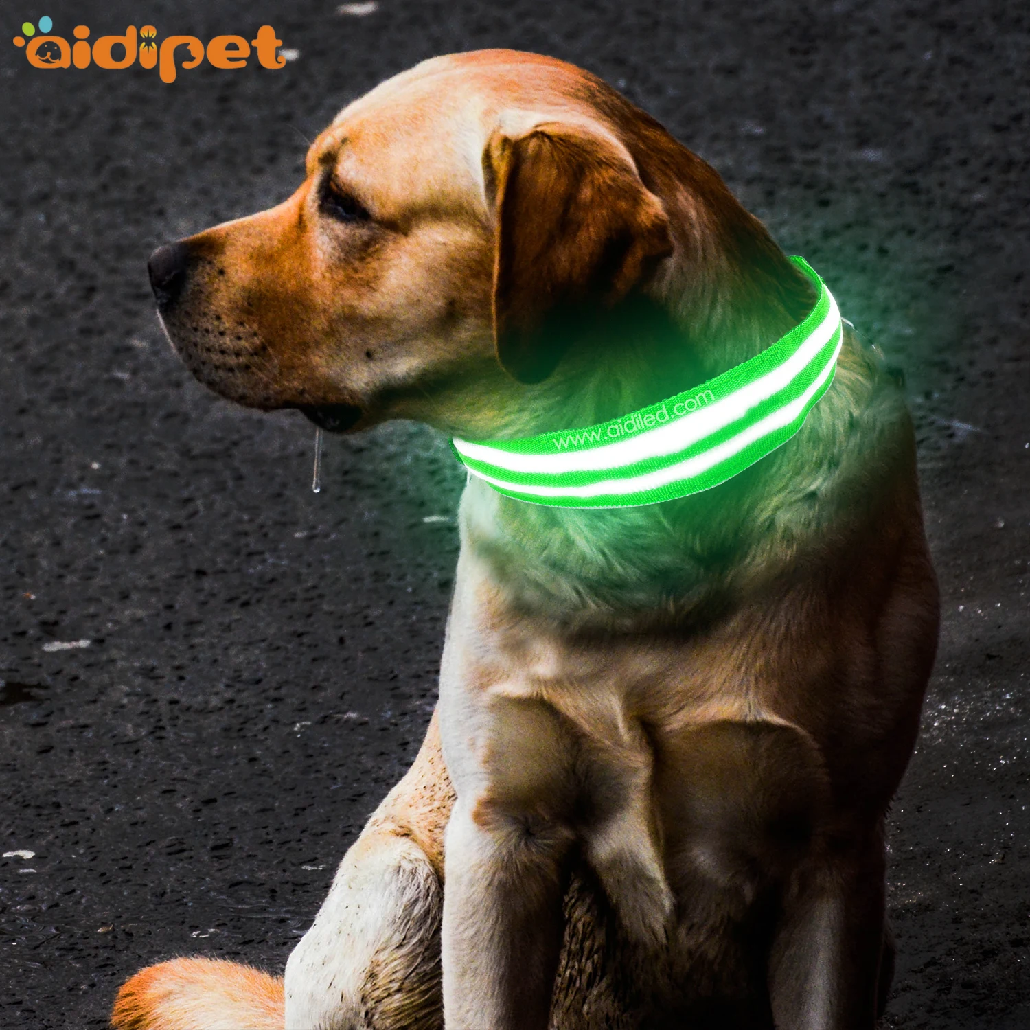 product-AIDI-Wholesale Custom Led Portable Fashionable Dog Collar for Pet Dogs-img