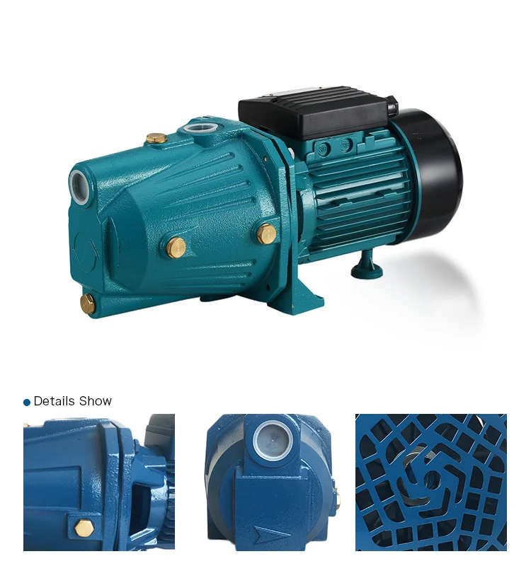 Widely Applicable 1.5 hp home use self-priming jet 100 water pump