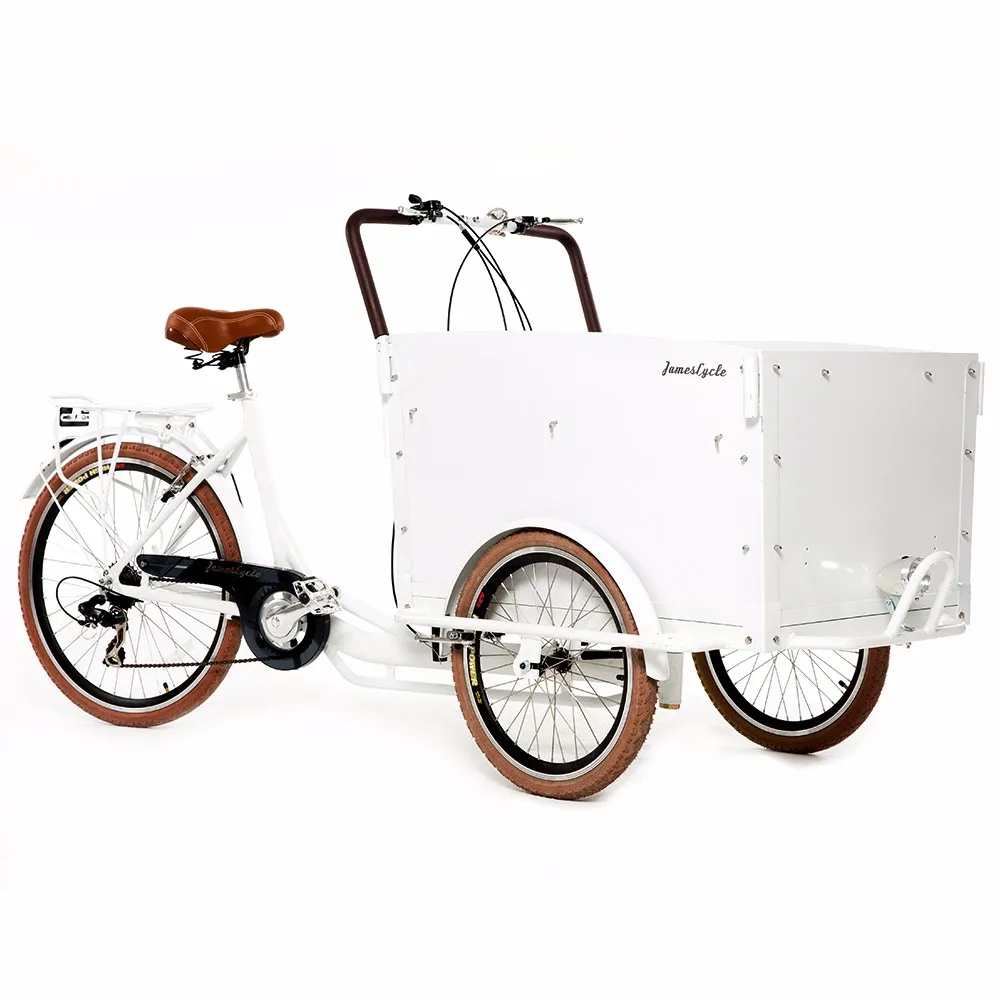 Three Wheel Electric Coffee Bike By Kinlife With 34 Years Experience In ...