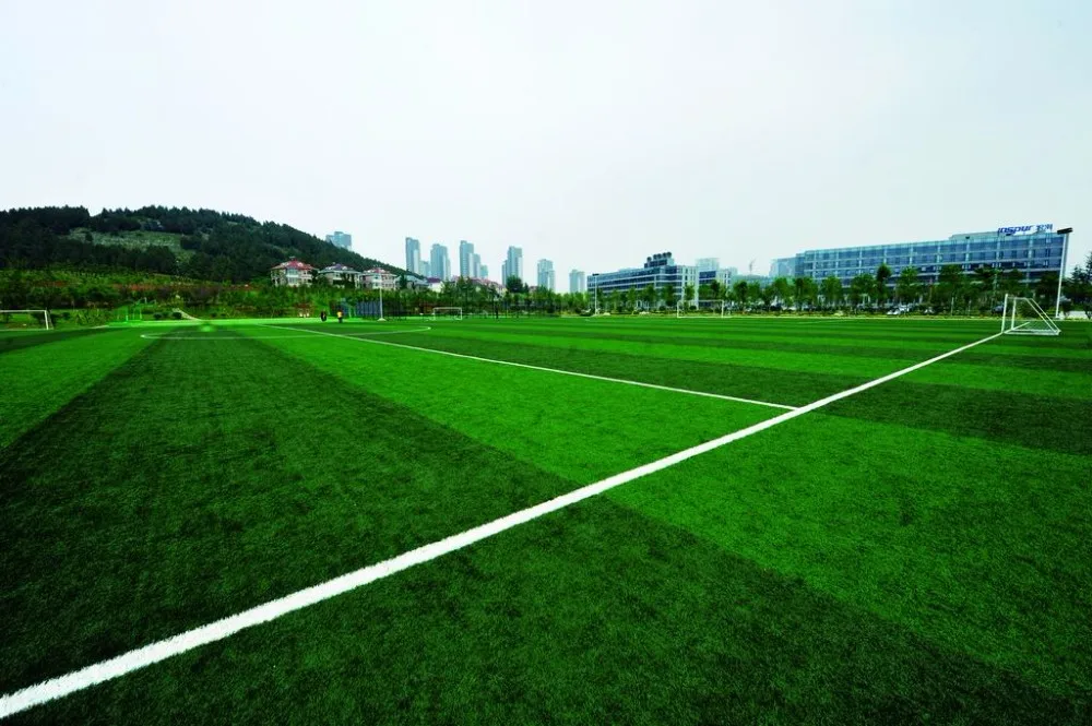 China Inspur stadium.jpg