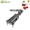 fruit & vegetable washing/drying/waxing/sorting line/machine/fruits processing plant