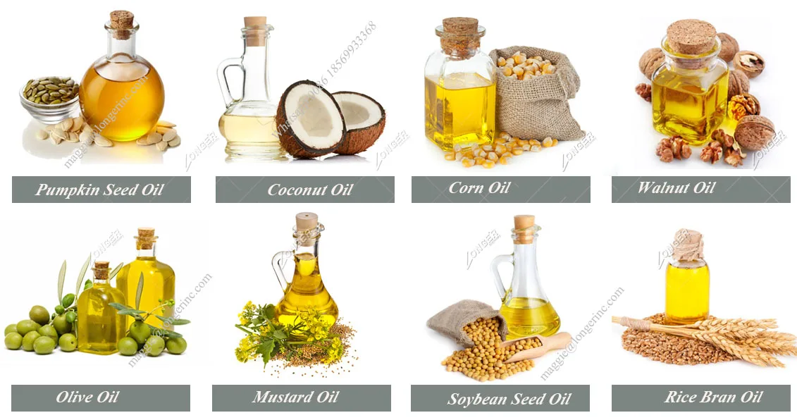 Castor Seeds Jatropha Oil Extraction Plant Pressing Machines Avocado Oil Expeller Machine Price In Pakistan Buy Castor Seeds Jatropha Oil Extraction Plant Pressing Machines Avocado Oil Expeller Machine Price In Pakistan Castor