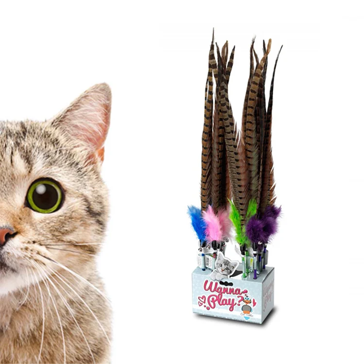 peacock feather cat toy