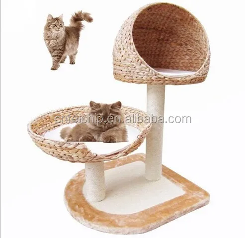 Plante De Bananier 100 Naturelle Feuille De Bananier Pour Chat Buy Arbre A Chat Arbre A Chat Feuille De Bananier Palnt Arbre A Chat Feuille De Bananier Palnt Product On Alibaba Com