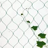 HDPE Anti Bird Netting