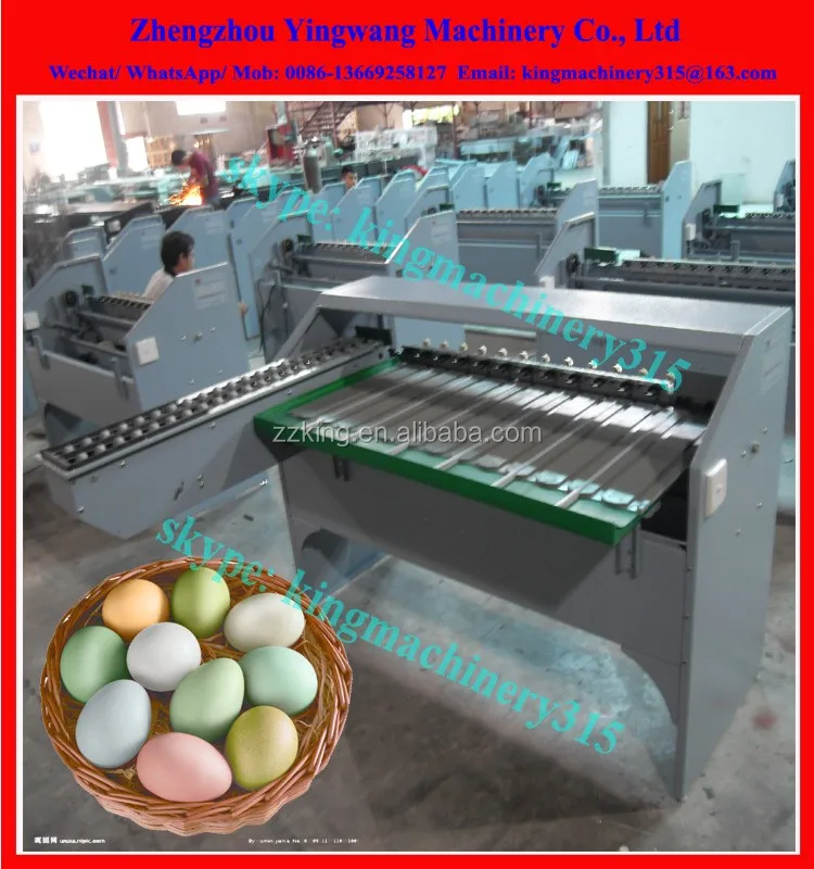 Automatic Egg Sorting Machine Egg Grader And Packing Machine For Sale