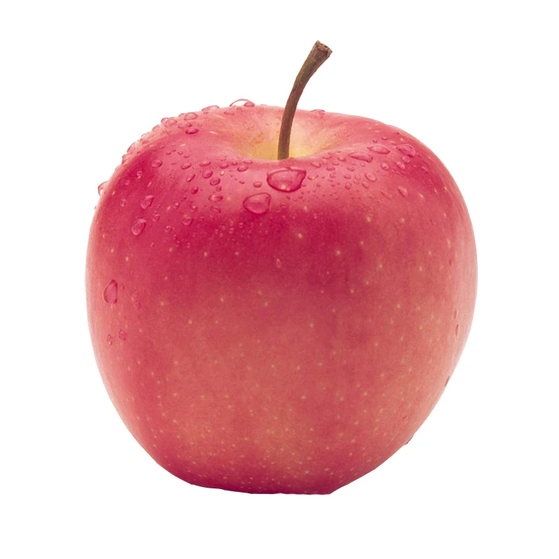 instal the last version for apple Bulk Image Downloader 6.27