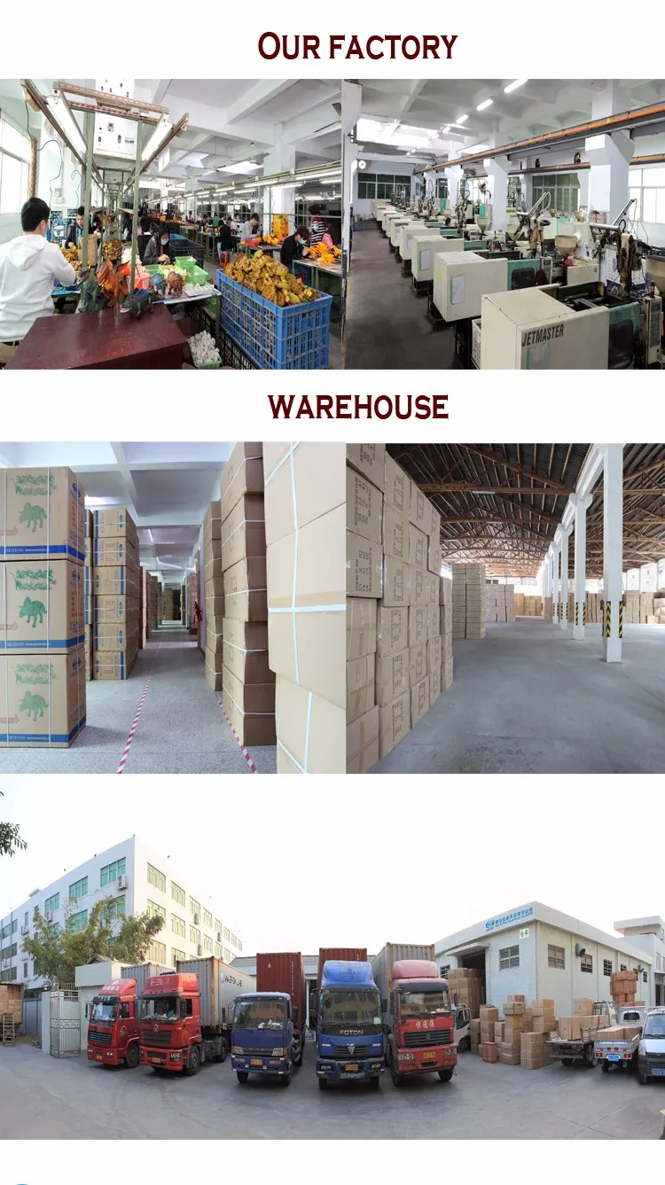 Company information2.jpg