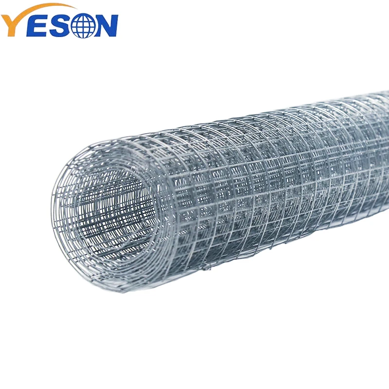 Chicken Coop 1/4x1/4 Galvanised Welded Wire Mesh Buy 1/4x1/4 Welded