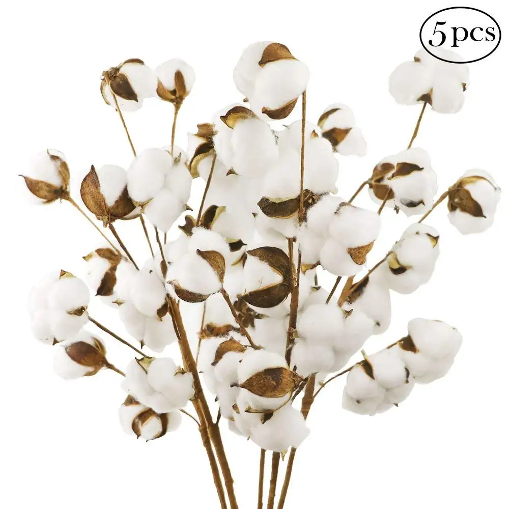 VGIA 5 Pack 10 Balls Per Stem 21 Inch Cotton Stems Farmhouse Style Display Filler Floral Decoration 5 Pack 10 Balls Per Stem