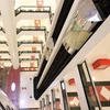 GERMAN ORIGIN HIGH QUALITY PANORAMIC LIFT