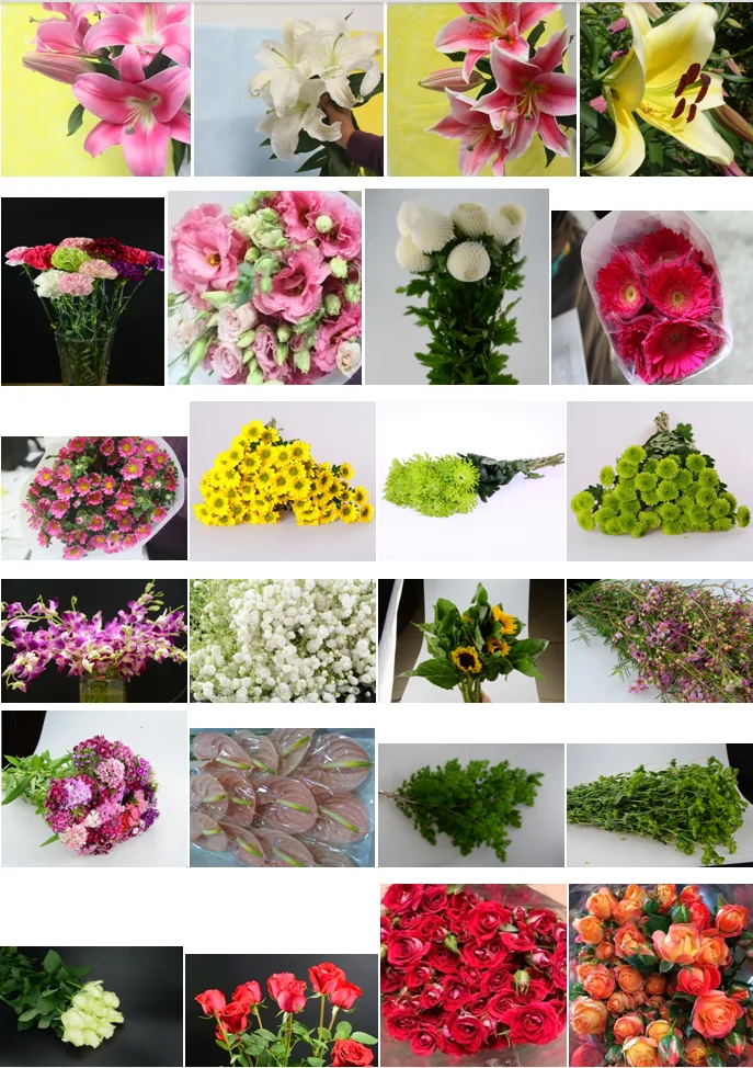 Цветы для составления букетов названия и фото