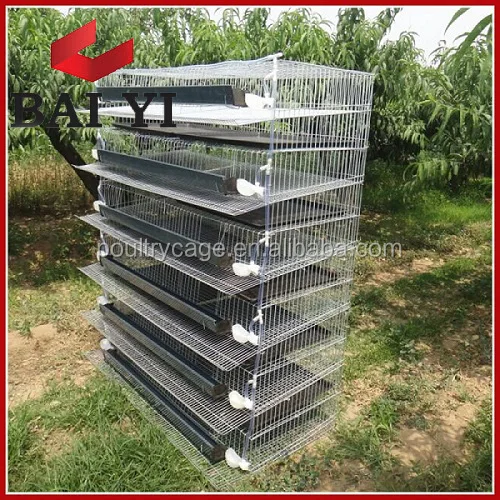 Baiyi Quail Cage For Sale A Type H Type Buy Quail Cagelayer Quail Cages For Salequail Layer Cages Product On Alibabacom