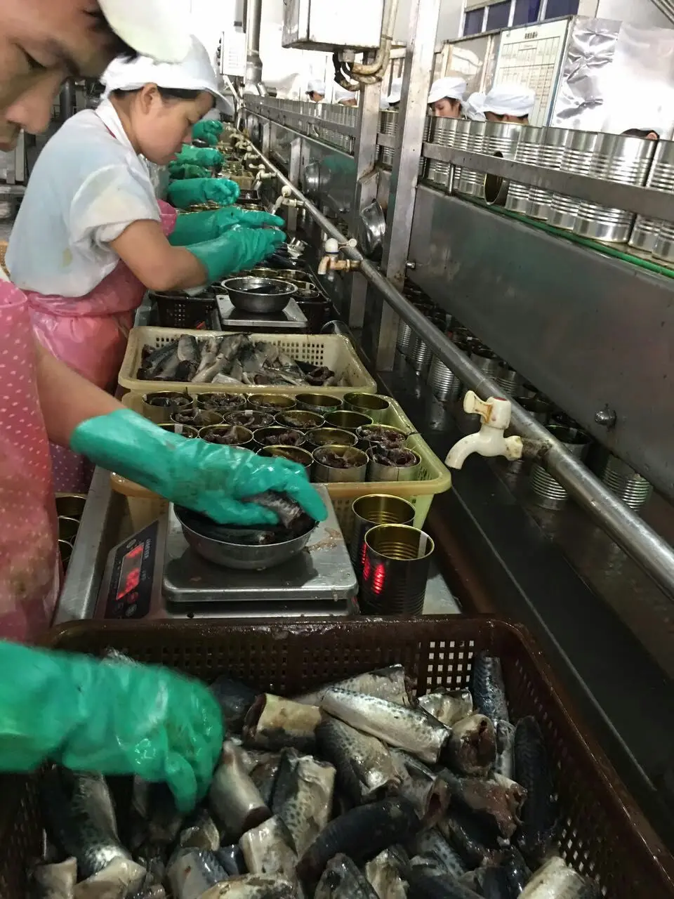 mmexport1465379001992