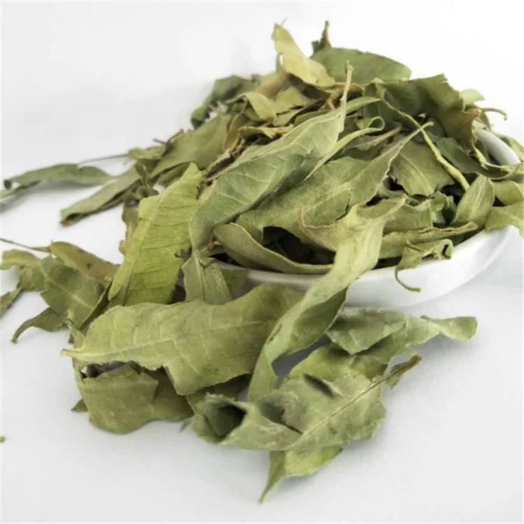 Chinese Natural Apocynum venetum leaf /bluish dogbane leaf /kender leaf tea on sales - 4uTea | 4uTea.com