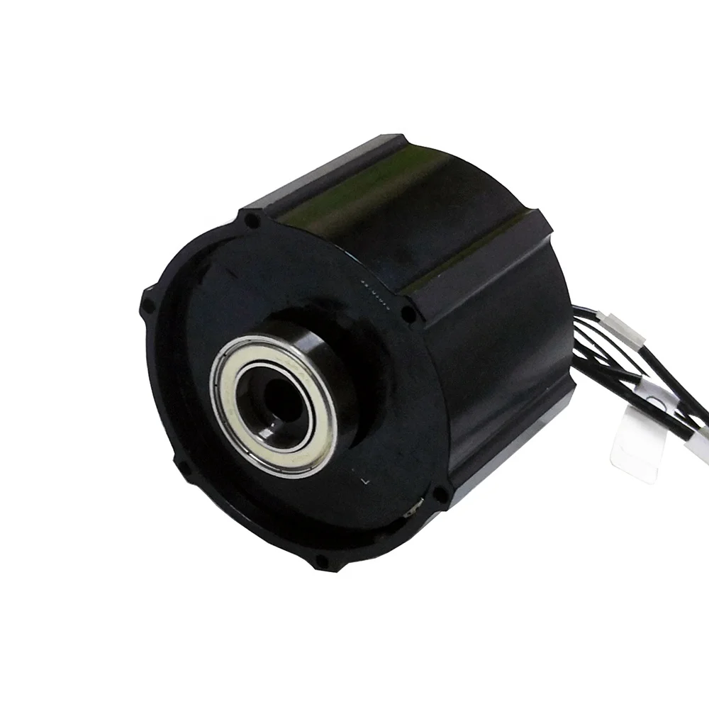 hub motor brushless