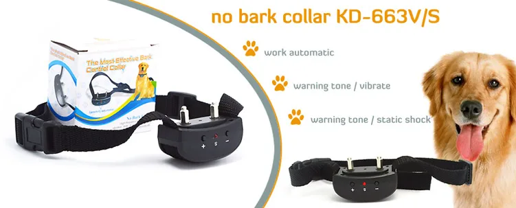 no-bark-collar.jpg