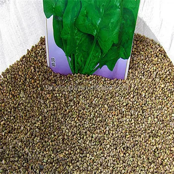 Bo Cai Tropical Vegetable Dark Green Leaves Spinach Seeds - Buy Dark ...