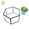 ** decor small Clear glass flower pot container // Custom hand painted flower pot // geometric mini glass flower pots wholesale