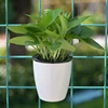 Lazy Flower Pots Automatic Water-absorbing Green Radish Meat Pills Hydroponics Wall-hung Circular Resin Plastic Flower Pots