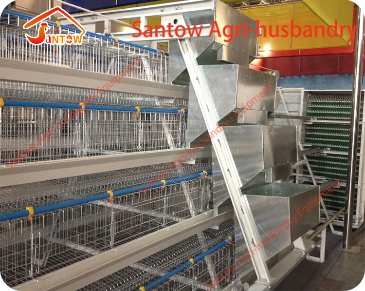 A type 4 tier chicken layer cages pigeon breeding battery cage for poultry farm