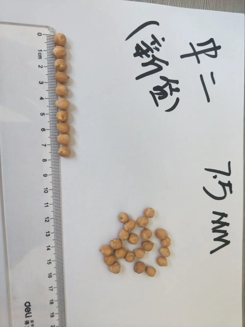 chickpeas.png