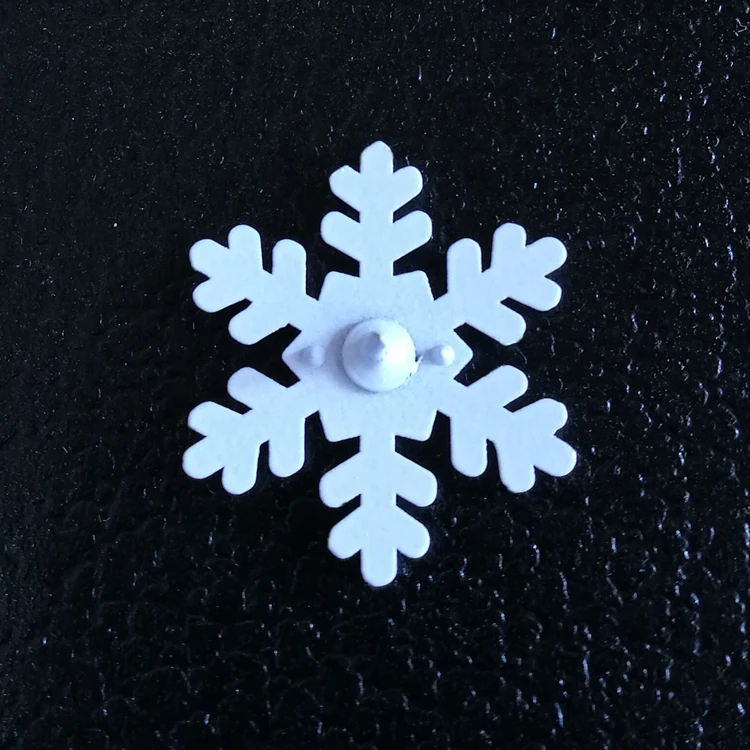 snowflake 2.jpg