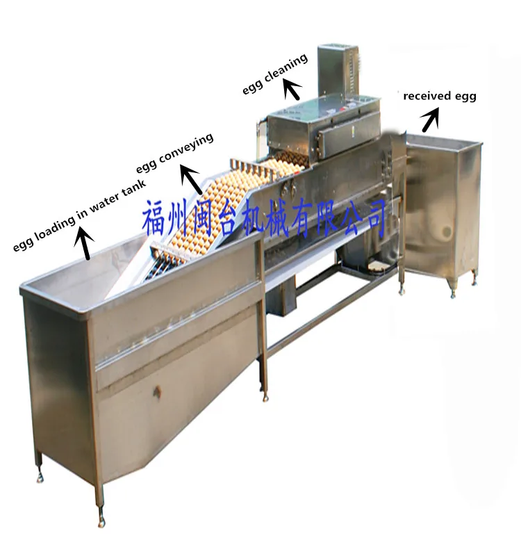Duck Egg Washer Machine With High Capacity Buy Egg Cleaning Machine