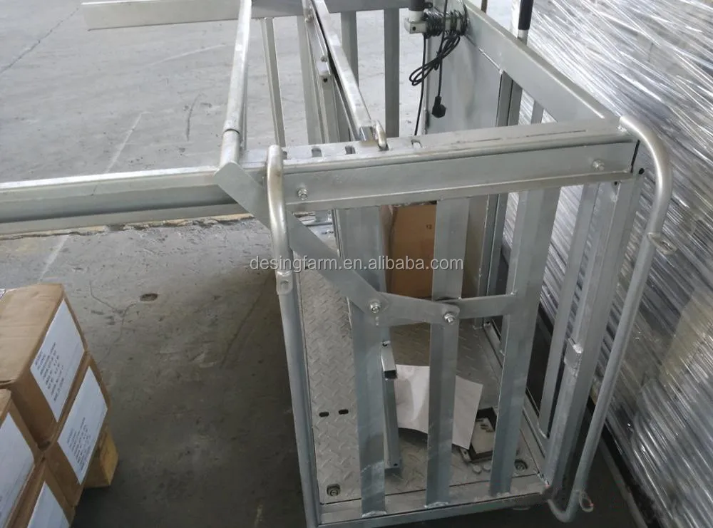 best workmanship sheep handling system factory direct supply favorable price-8