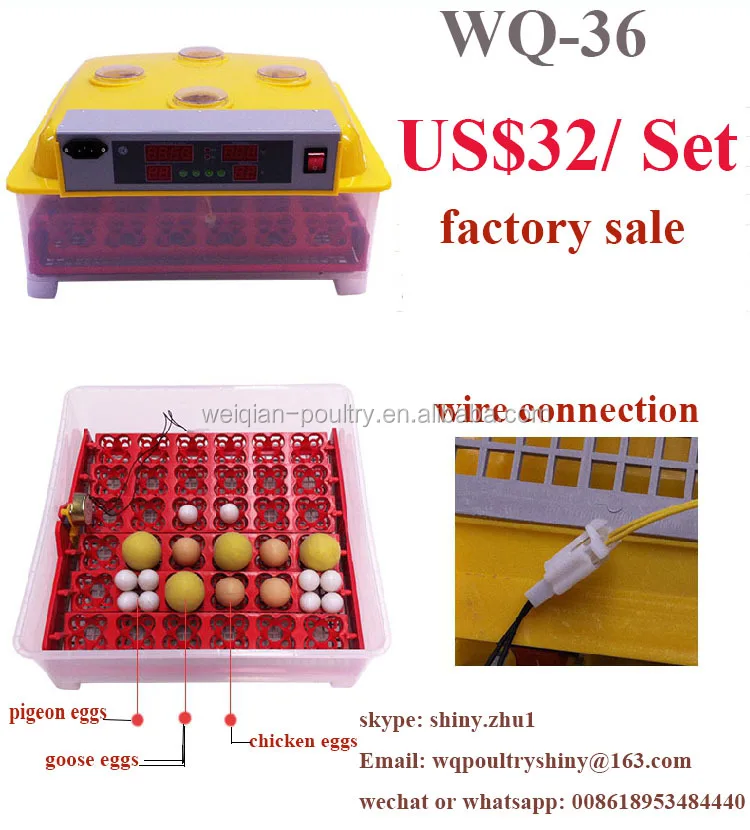 Weiqian Mini Incubadora De Huevos De Codorniz Wq 36 Codorniz 36 Huevos O 144 Buy Incubadora De Huevos De Codorniz Mini Incubadora De Huevos Jn12 Mini Incubadora Automatica De Huevos De Pollo Product On Alibaba Com