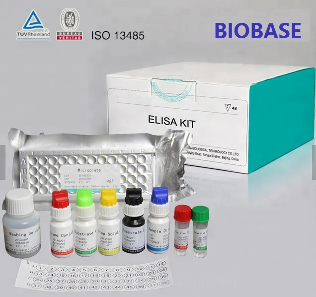 Biobase Hormone Items T3/ T4/ Psa/ Tsh/ Lh/ Fsh/ Cheap Elisa Test Kits