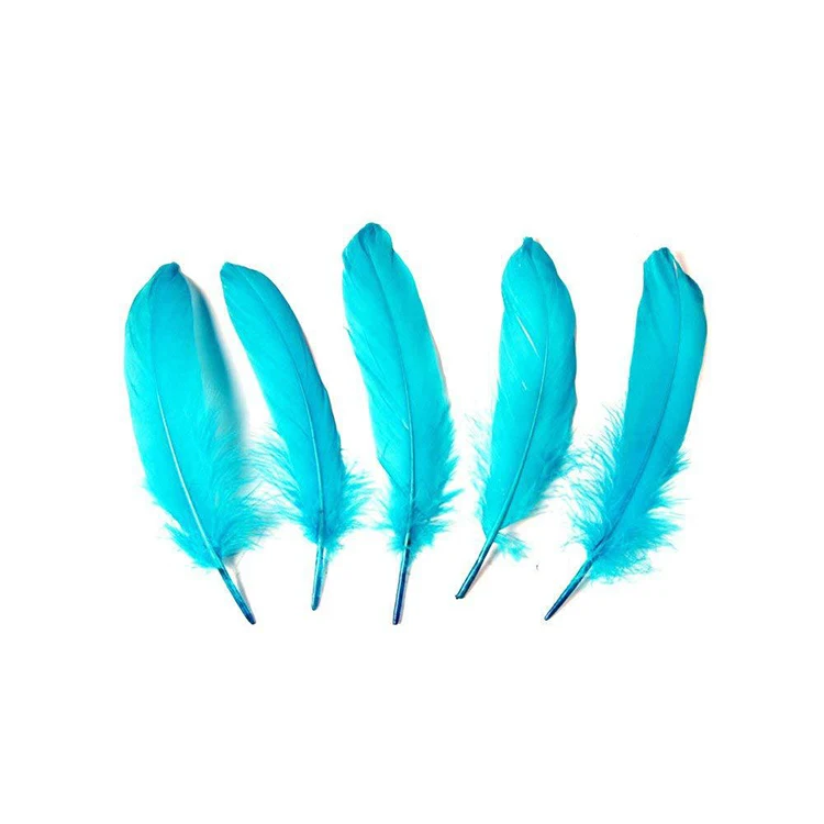 Feather 6
