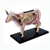 animal acupuncture type and medical teaching model /Cow Acupuncture Model
