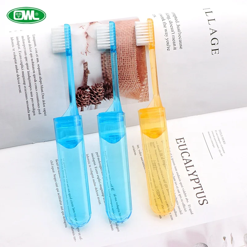 Travel Toothpaste With Folding Toothbrush Set With Toothpaste Inside