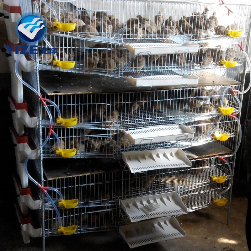 4 Tires Automatic Quail Cage Size Poultry Shed Cage For Layer Chicken