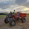 Factory 250cc EEC Racing Quad ATV / Buggy with Tool Box for adult