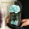 Yunnan Fancy Factory Real Preserved Roses in Glass Happy Valentine Gift