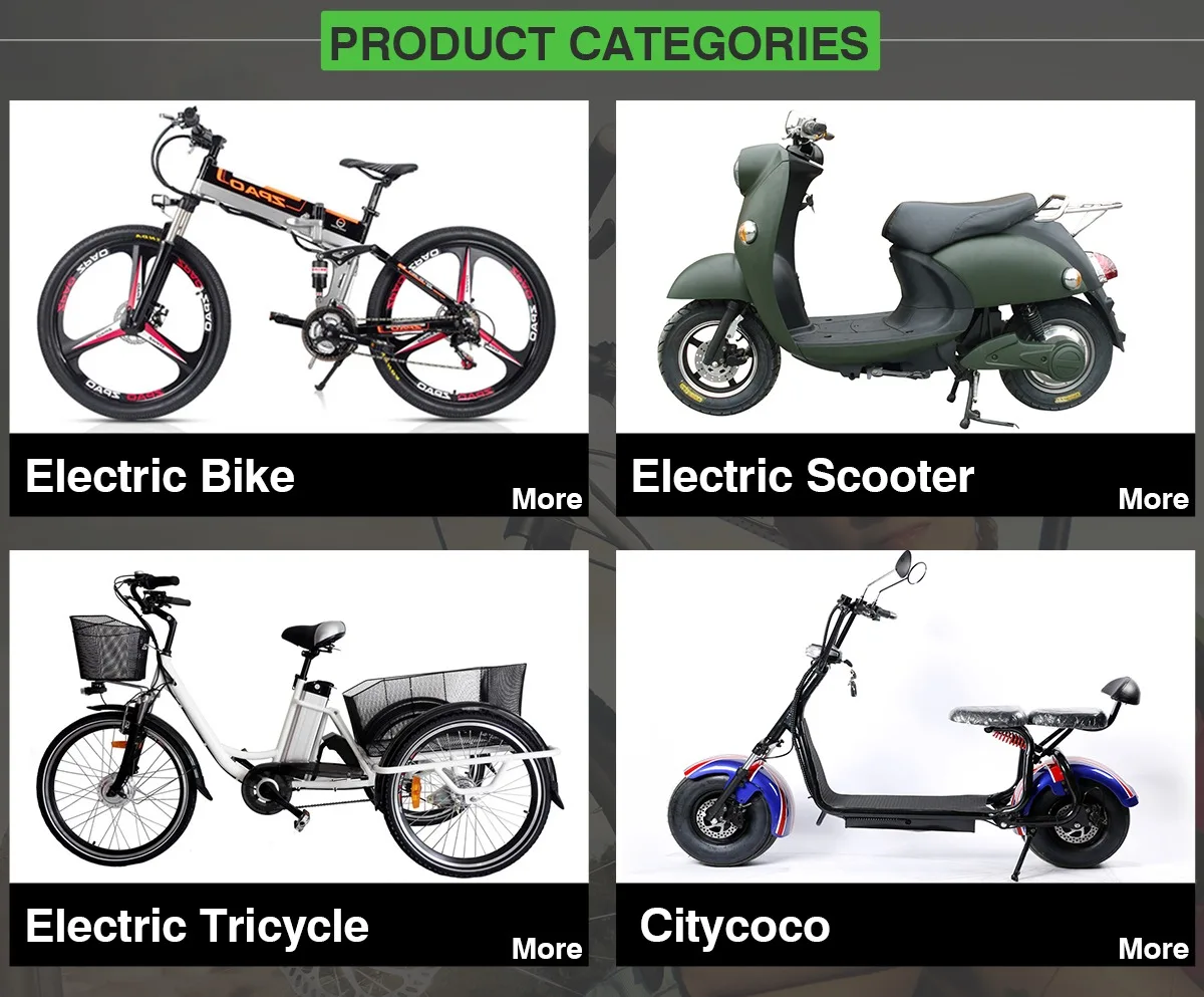 thunder wind electric bike price