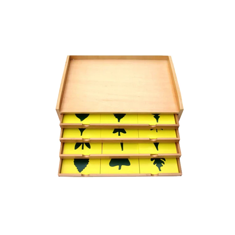 2019 Popular Toys Botany Leaf Wooden Kids Toys Montessori With