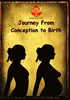 JOURENY FROM CONCEPTION TO BIRTH ( 1 VIDEO DVD ) BY WOMB INSTITUTE