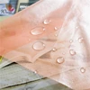 20D Ultra thin Transparent TPU Laminated Tricot Fabric Riding Clothes and Raincoat Fabric