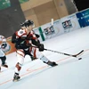 Hockey Inline / Hockey Material / Hockey Products for Hockey Sports Court