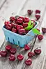 FRESH CHERRY
