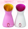 Pro Spa Facial Steamer Nano Ionic Sprayer Hot Mist Humidifier Sauna Moisturizer